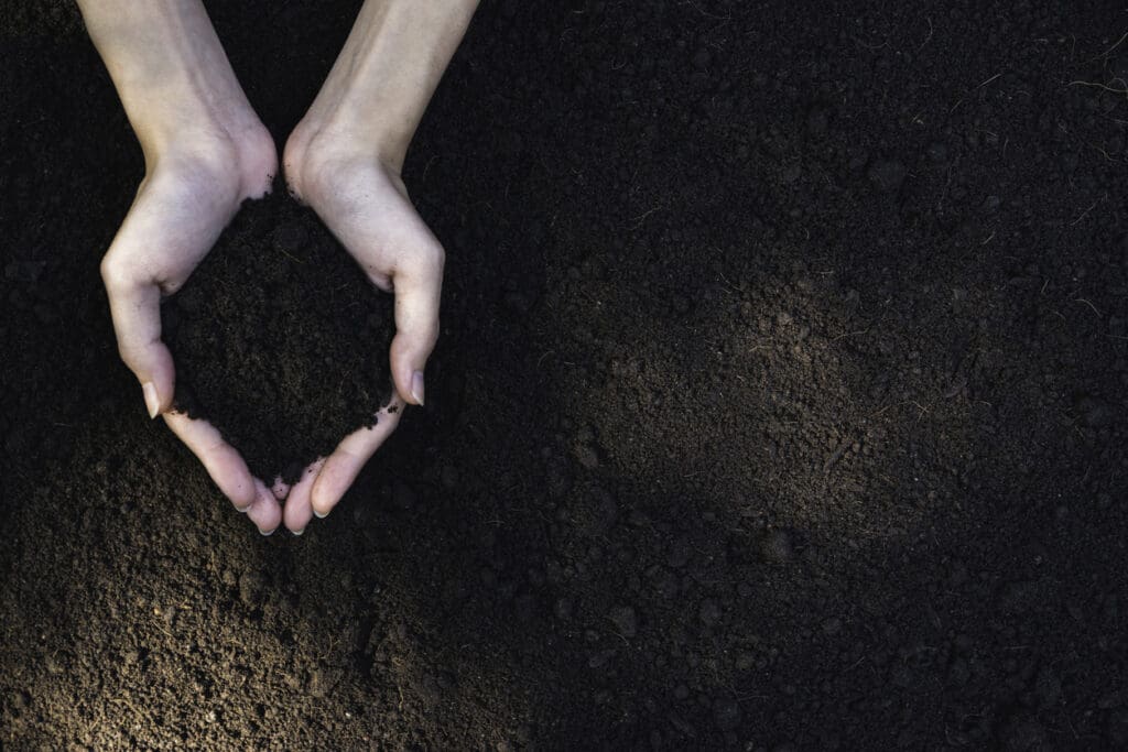 Qualterra Closeup hand of person holding abundance soil for agriculture or planting peach.
