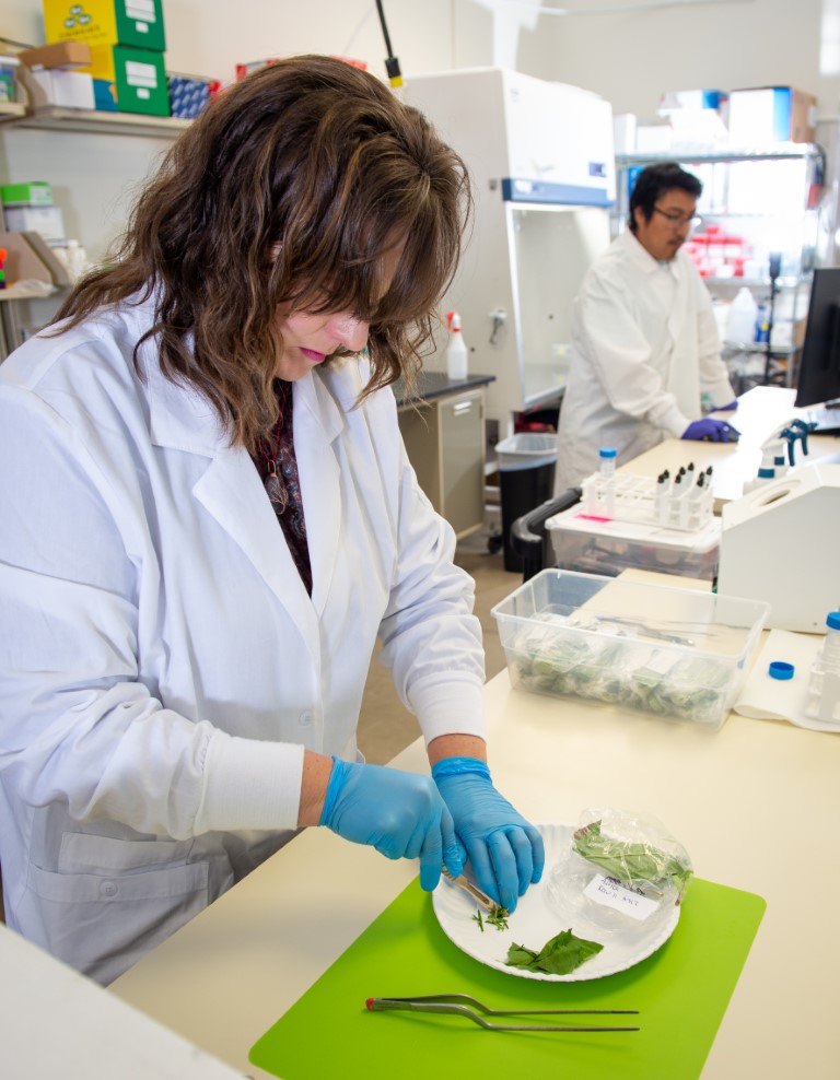 Qualterra Molecular Plant Services 4