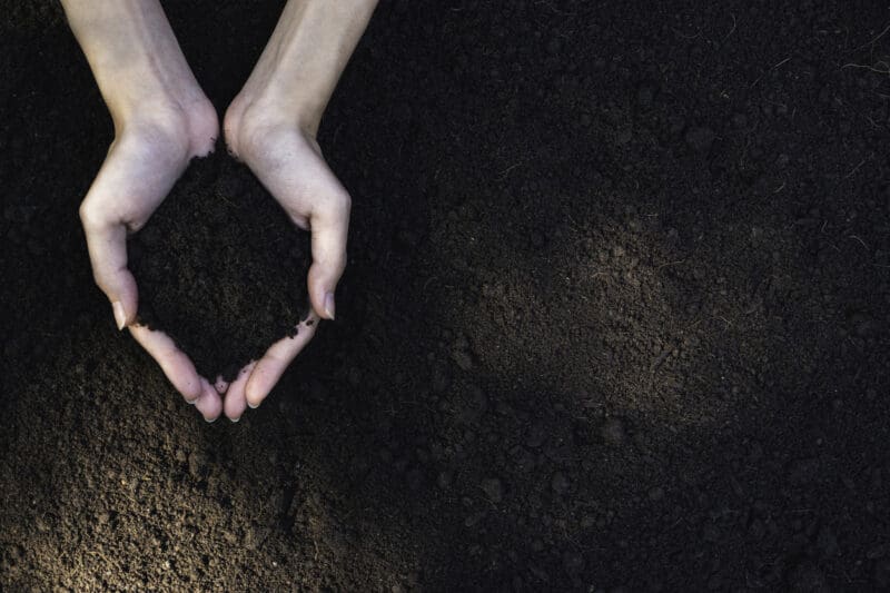 Ag Biochar - version 3.1 - Image 7